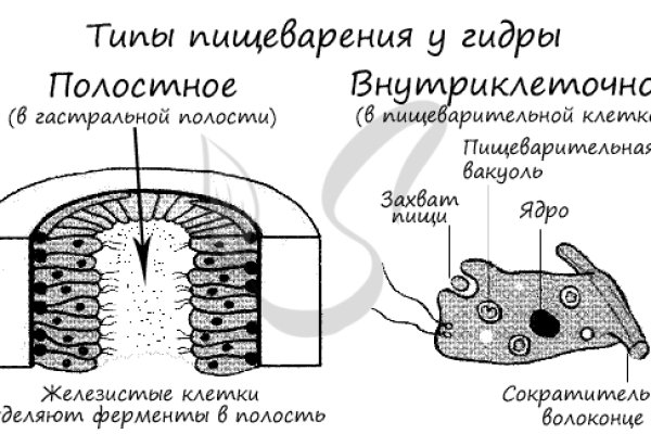 Ссылка на кракен в тор браузере